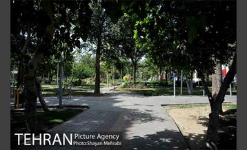 بوستان هفت چنار 4