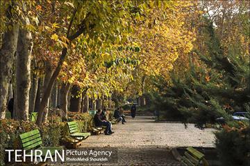 بوستان اندیشه(شهید منفرد نیاکی) 10