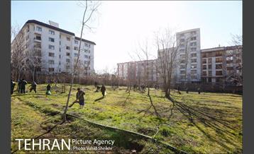 باز آفرینی باغ عبقری منطقه ۲ 5