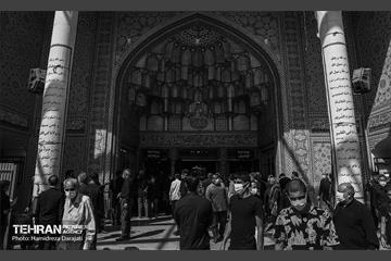 تجلی «حب‌الحسین یـجمعنا» 4