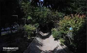 مبارزه با جانوران موذی 27