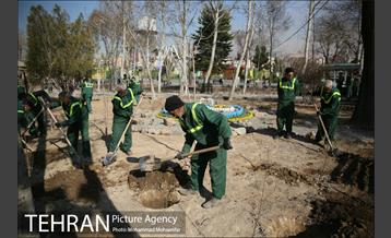 غرس نهال در بوستان بهاران 2