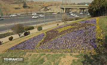 طرح استقبال از بهار 47