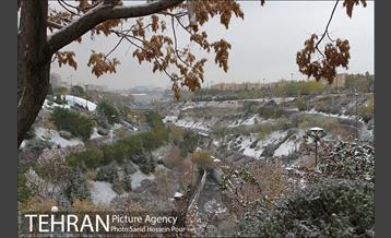 تهران سفید پوش شد 21