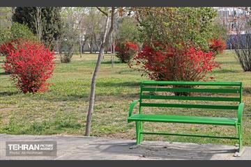 بهار در منطقه 18 29