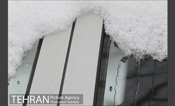 بارش برف در تهران 27