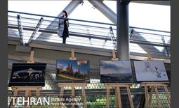 نمایشگاه “طبیعت تهران” بر روی پل طبیعت 20