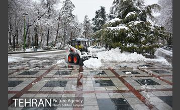 روز برفی تهران در بوستان ملت 5