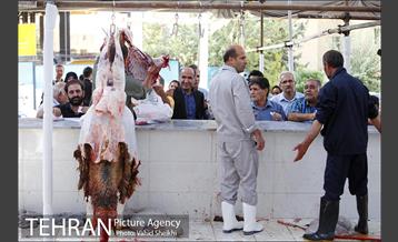 بازدید سعید راد از مراکز عرضه دام  24