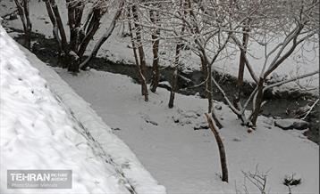 بارش برف زمستانی در تهران 23