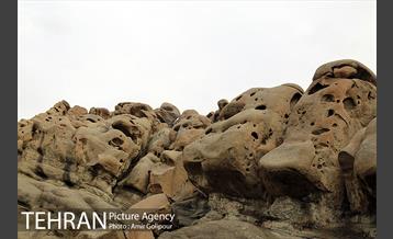 وردیج ، دنیایی از زیبایی 10