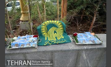 بازپیرایی بوستان قمربنی هاشم(ع)در شب میلاد امام رضا(ع) 3