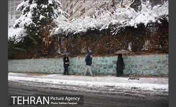 بارش برف زمستانی در تهران-2 19