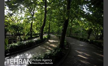 بوستان لاله 34