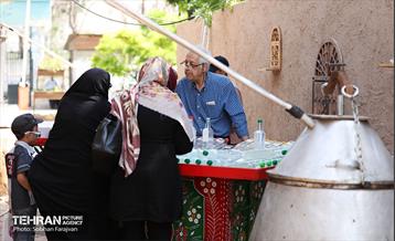 نوزدهمین جشنواره گل و گلاب تهران  9