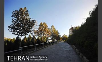 بوستان جوانمردان 40