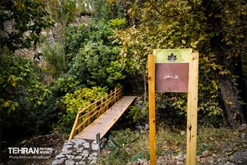 پاییز در روددره فرحزاد