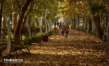 سمفونی رنگ های پاییزی - پارک لاله 38