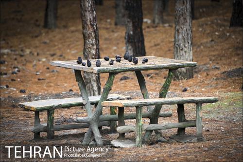 بوستان سرخه حصار 16