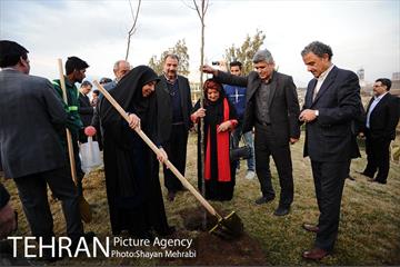 کاشت شش نهال درخت زیتون با حضور کارگرداران سینمای ایران 17