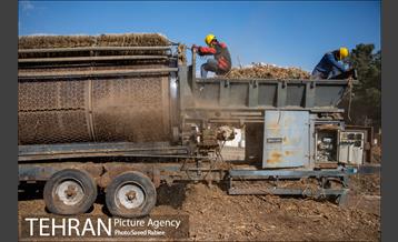 تولید کود کمپوست در پارک جنگلی آزادشهر 14