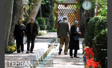 رویش گل های لاله در باغ ایرانی 36