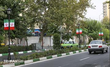 رفیوژ های همیشه سبز 11