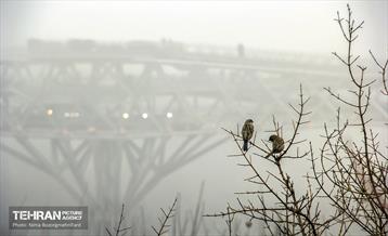 عباس آباد در مه 1