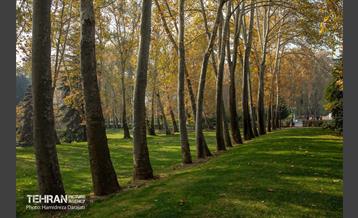 آخرین روزهای پاییزی  7