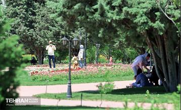 طبیعت بهاری در باغ ملی گیاهشناسی ایران 32