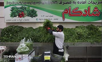 تره‌بار یلدایی 33