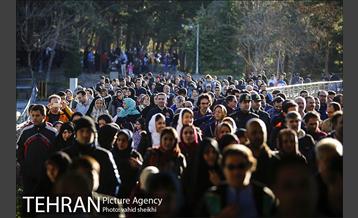 همایش بزرگ پیاده روی خانوادگی شهرداری تهران  15