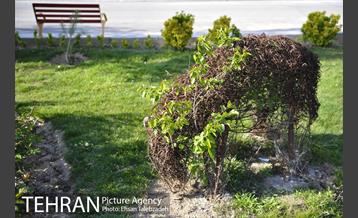 بوستان بازیافت 15