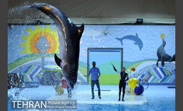 دلفیناریوم برج میلاد 5