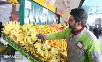 تره‌بار یلدایی 8