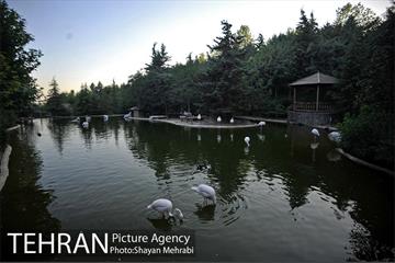 باغ پرندگان تهران 64