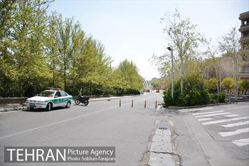 روز طبیعت متفاوت شهر تهران-1 26