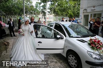 جشن ازدواج دو کارتن خواب بهبود یافته 3