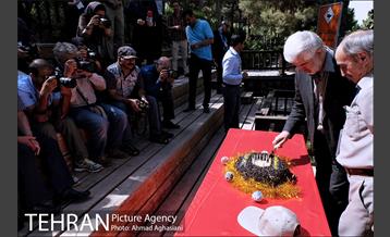 جشن تولد جوجه درنای تاج خاکستری آفریقایی 5