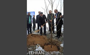 مراسم روز درختکاری با حضور شهردار تهران و رئیس مجلس 24