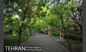 بوستان لاله 38