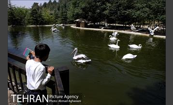 باغ پرندگان تهران 11