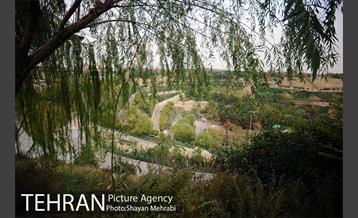 بوستان نهج البلاغه (فاز2) 22