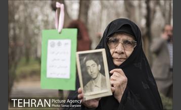 درختکاری و لانه گذاری کبوتر در بوستان بعثت 25