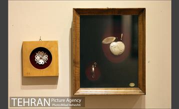 نمایشگاه دست ساخته‌های صدفی محسن قاضی مرادی‎ 4