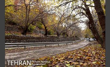 پاییز زیبای منطقه کن 14