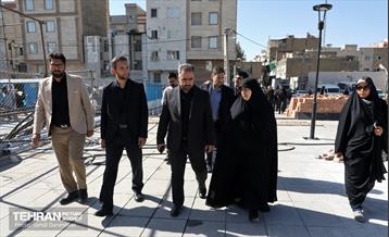 بازدید عضو کمیسیون اجتماعی و فرهنگی شورا از منطقه 17 16