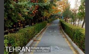 شهرک صدرا 14