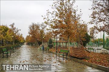 پاییز در بوستان رازی 3