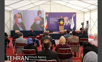 مراسم کاشت درخت صلح و دوستی 16